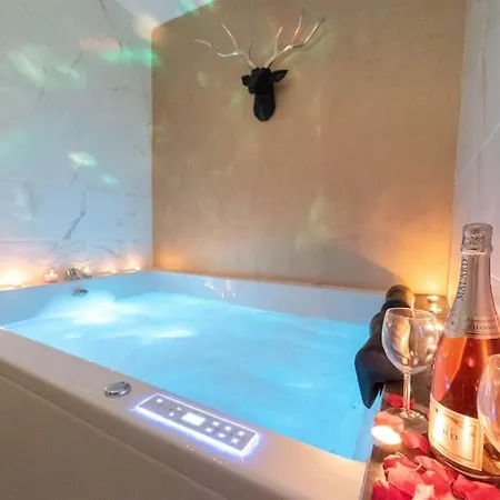 公寓 Avec 2 Jacuzzi Balneo, Parking 尼斯